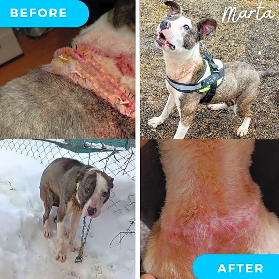 Photo of Marta