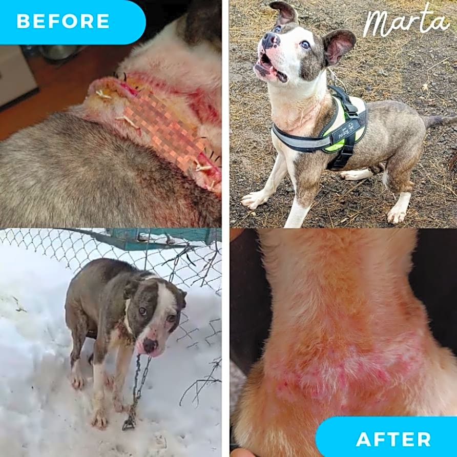 Photo of Marta