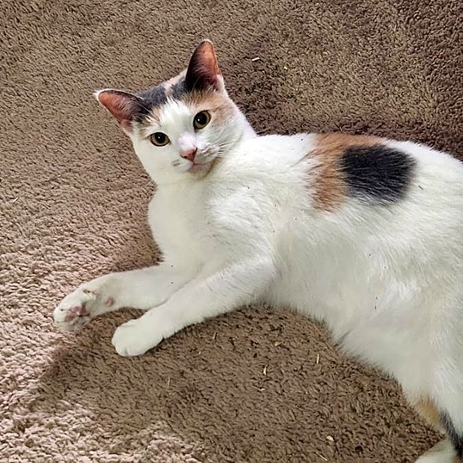 Photo of Chloe