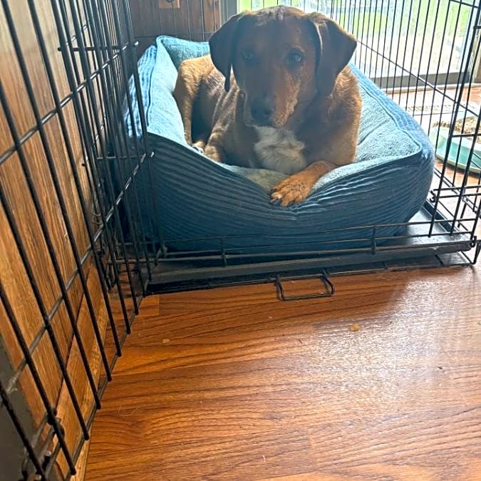 Photo of Maggie Mae