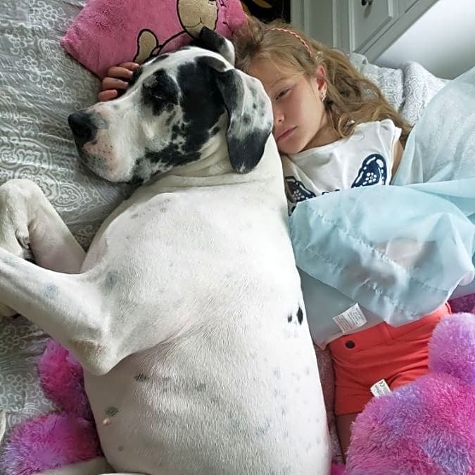 Photo of Stella