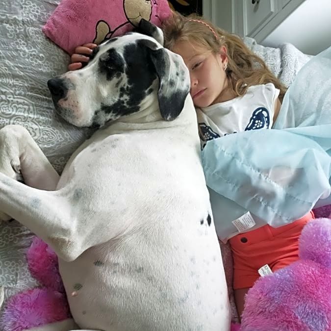 Photo of Stella