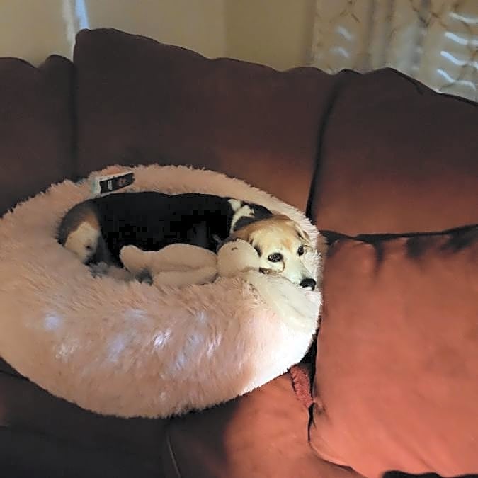 Photo of Asti bella