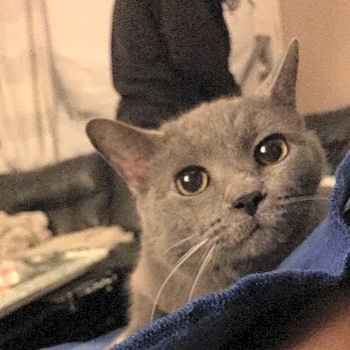 Photo of Stormy