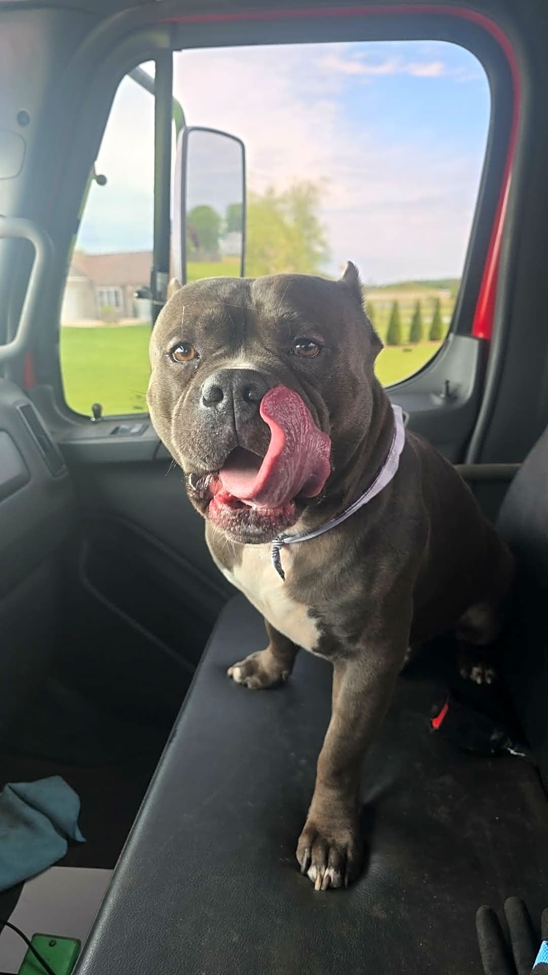 Photo of oakley