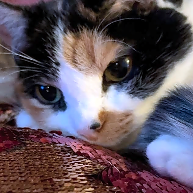 Photo of Little Bit