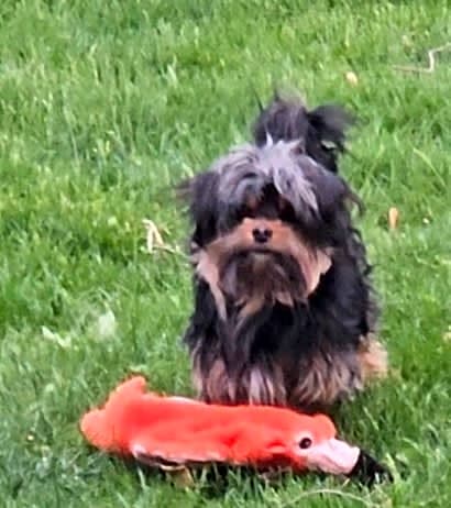Photo of Tank