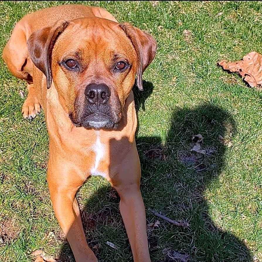 Photo of Roxi