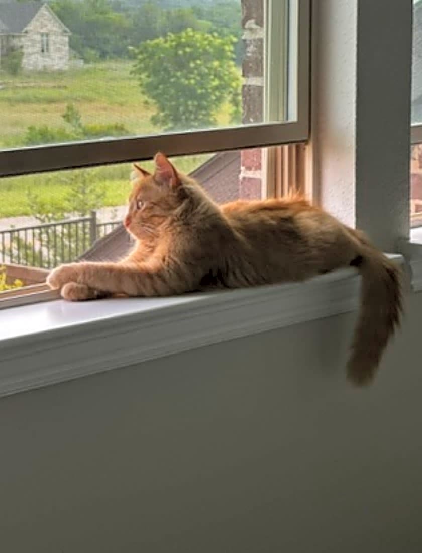 Photo of Nimbus