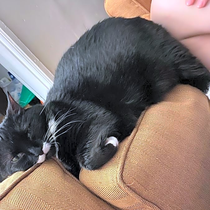 Photo of Kali