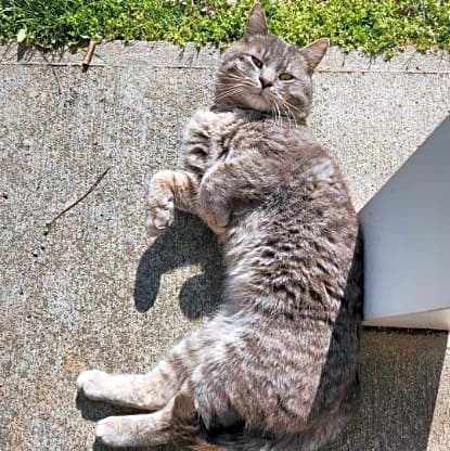 Photo of Leo