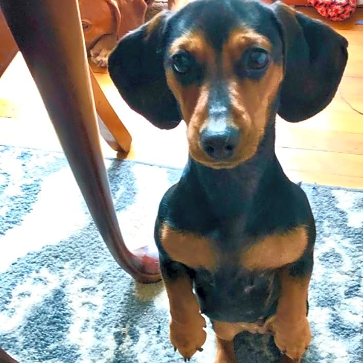 Photo of Minnie Mae
