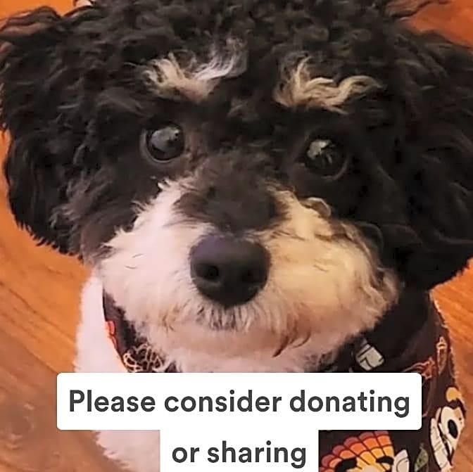 Photo of Bernie