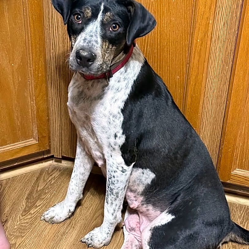 Photo of Mama Emberlee & Puppie