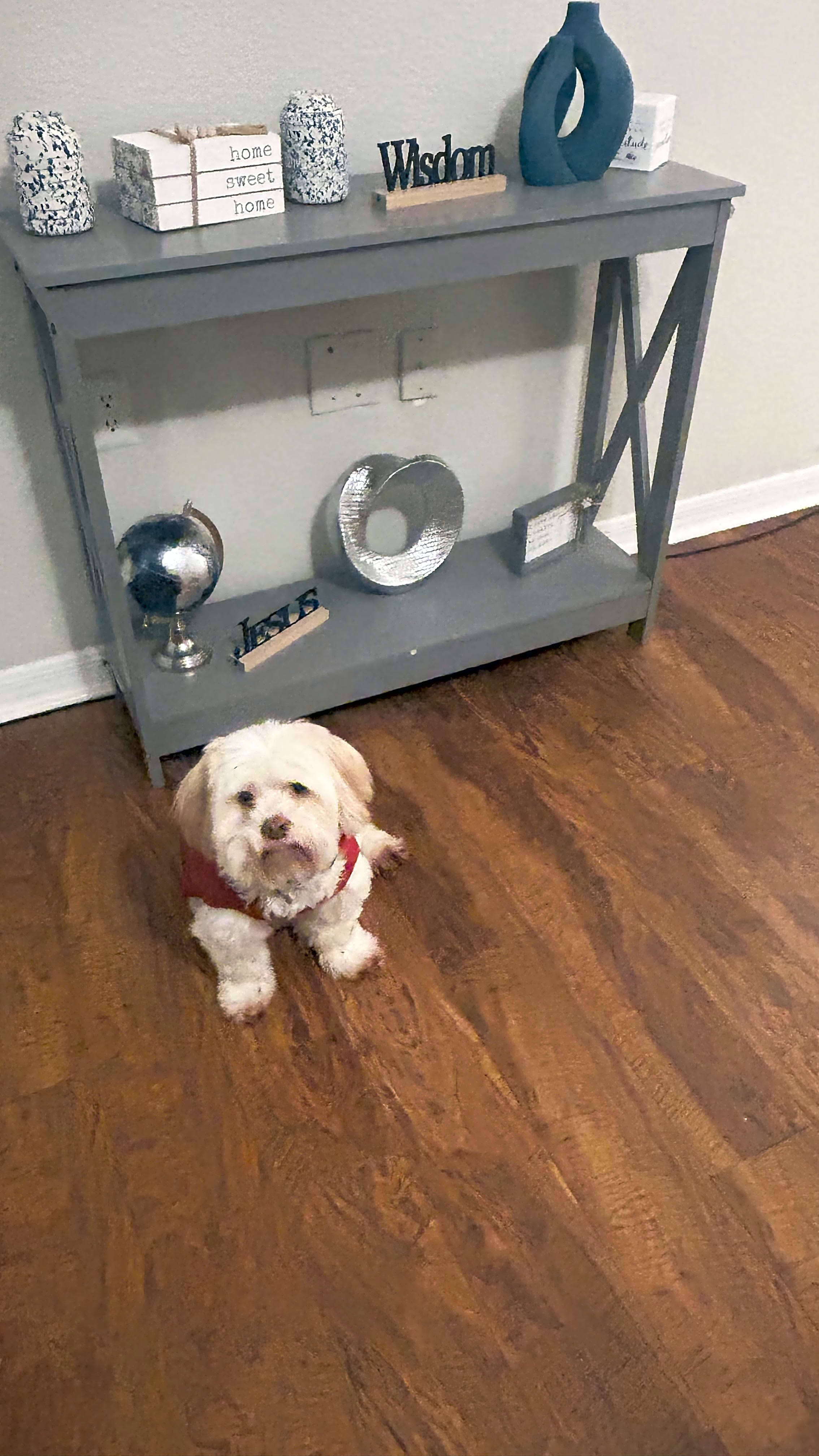 Photo of Cesar