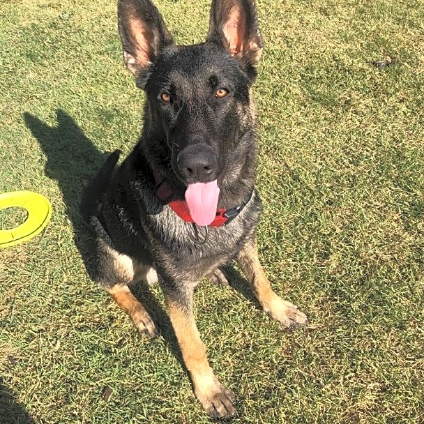 Photo of Captain
