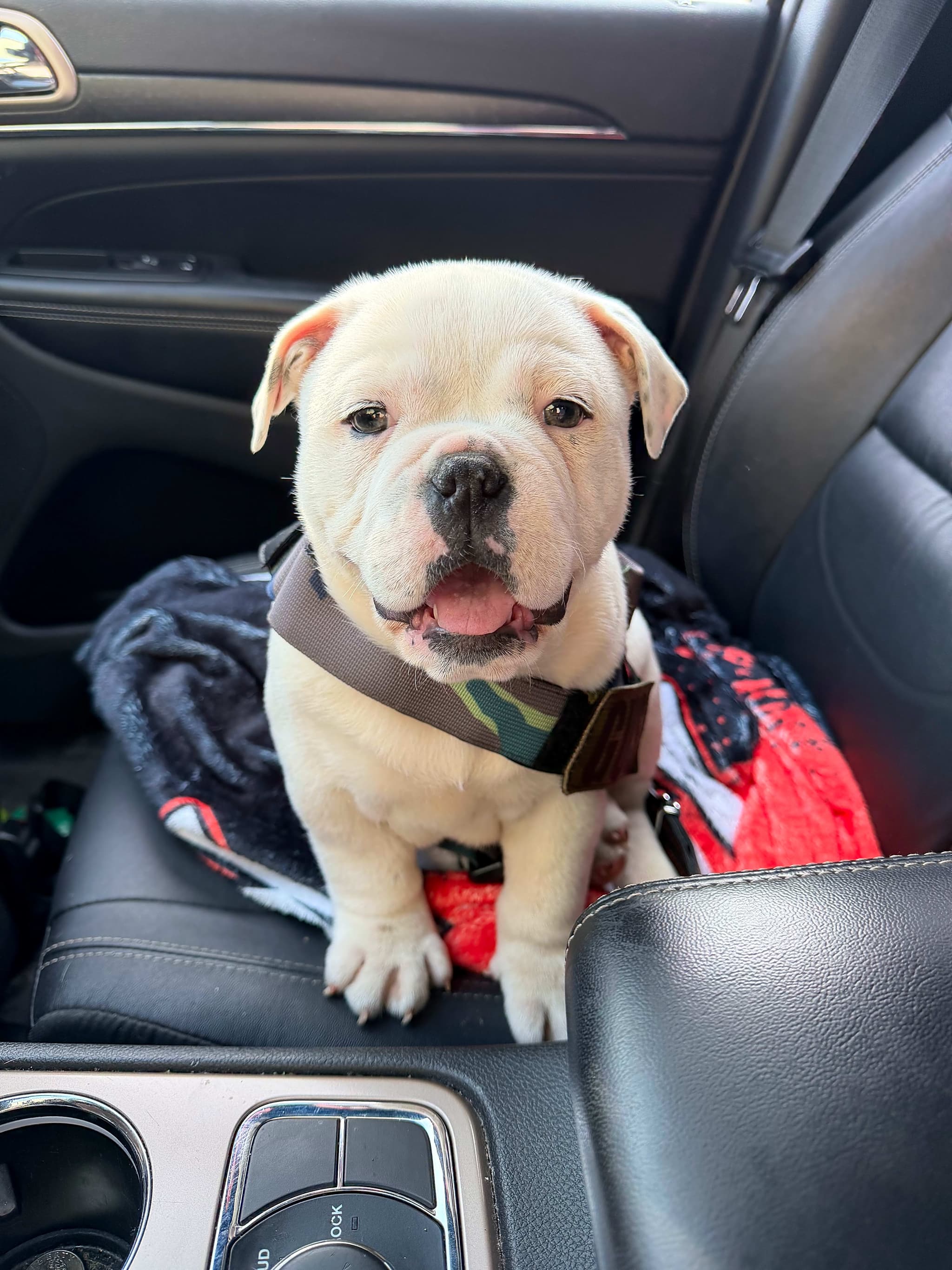 Photo of Gus