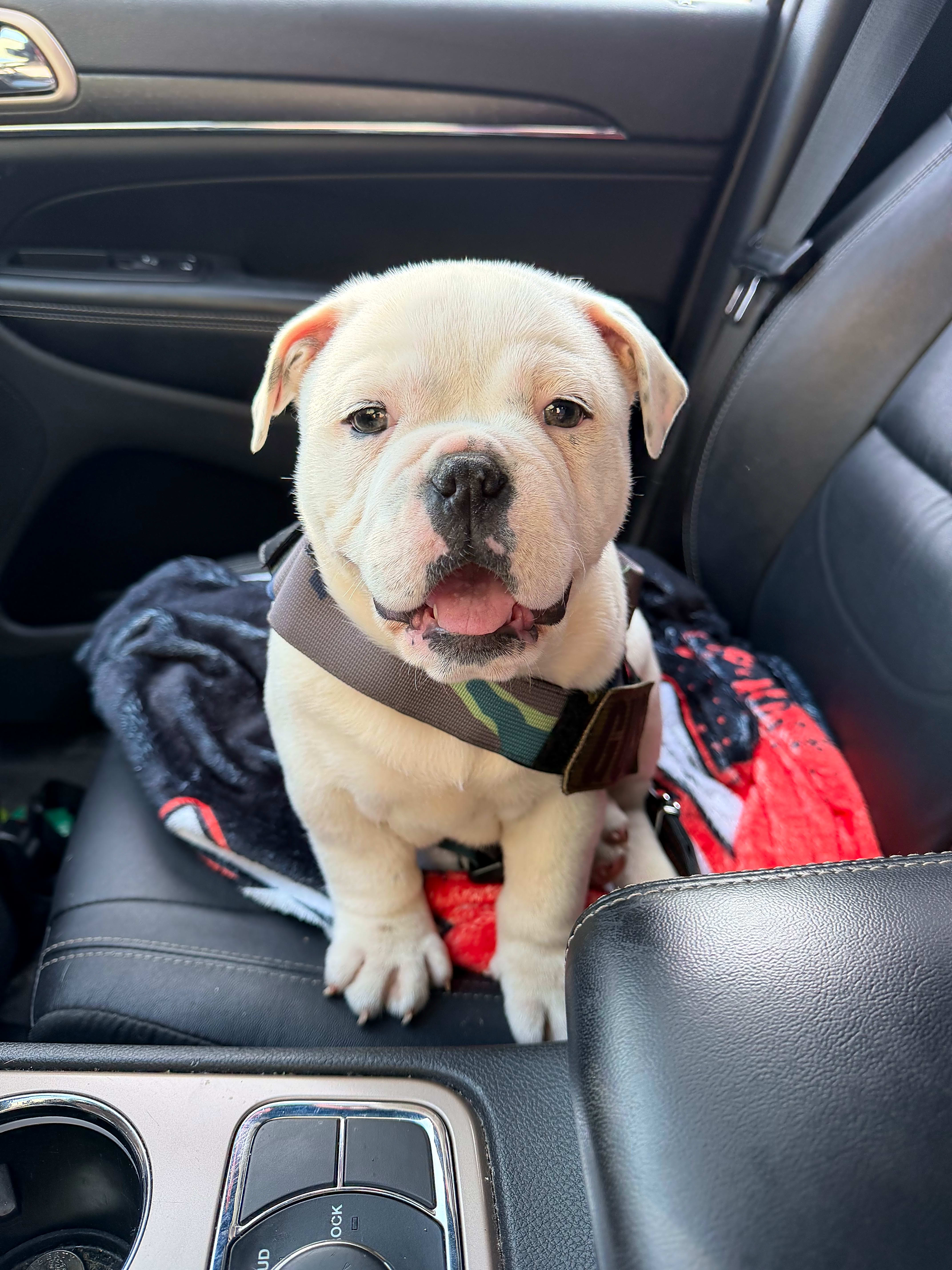 Photo of Gus