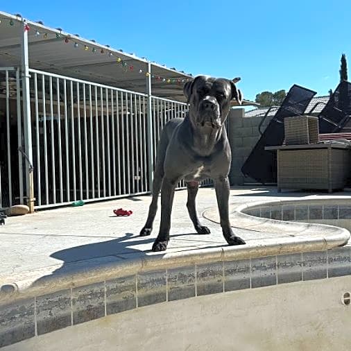Photo of Max
