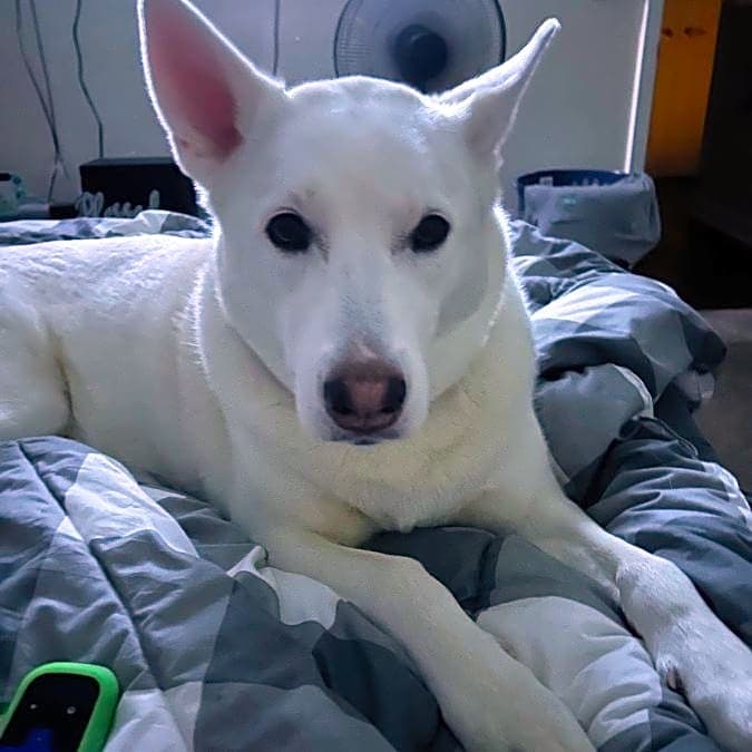 Photo of Meeka
