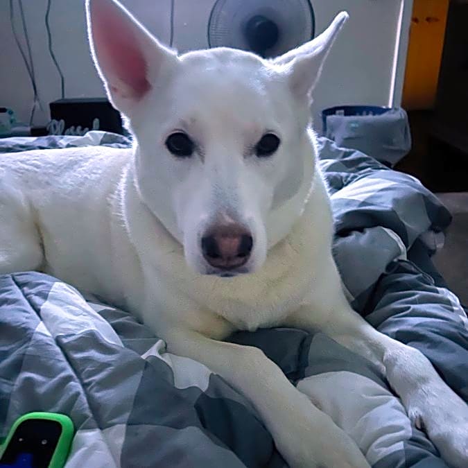 Photo of Meeka