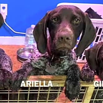 Photo of ARIELLA