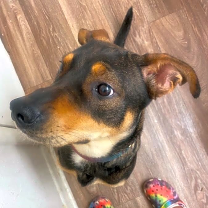 Photo of Coco