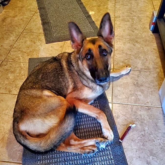 Photo of Lucy