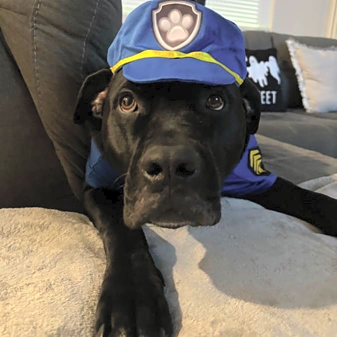 Photo of Reno