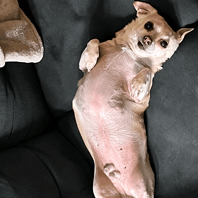 Photo of Silver
