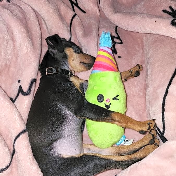 Photo of Leia