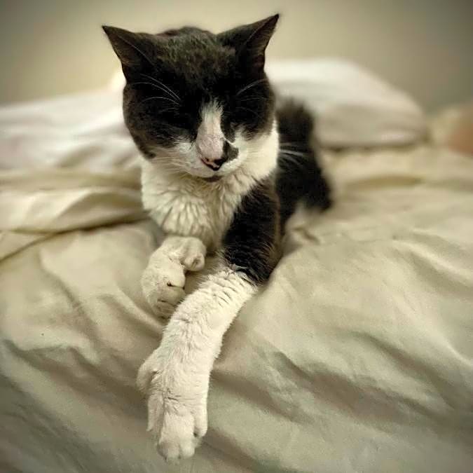 Photo of Guido