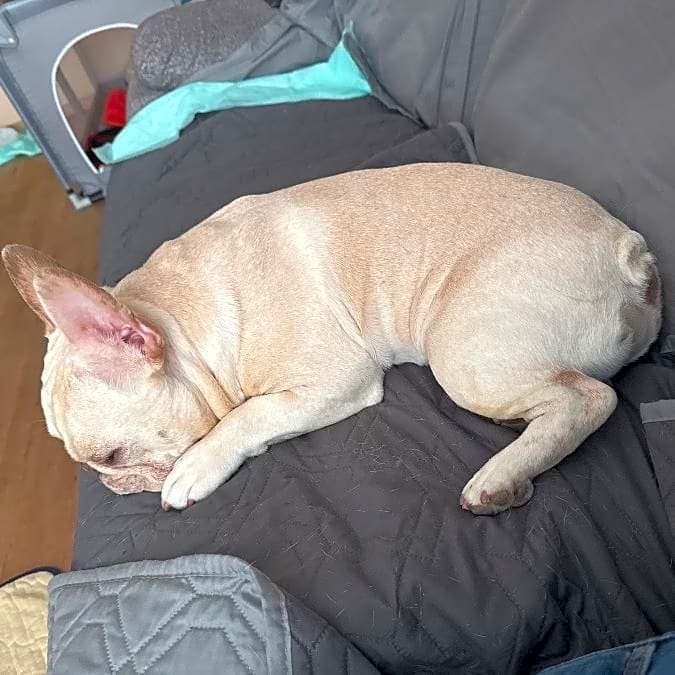 Photo of Zero