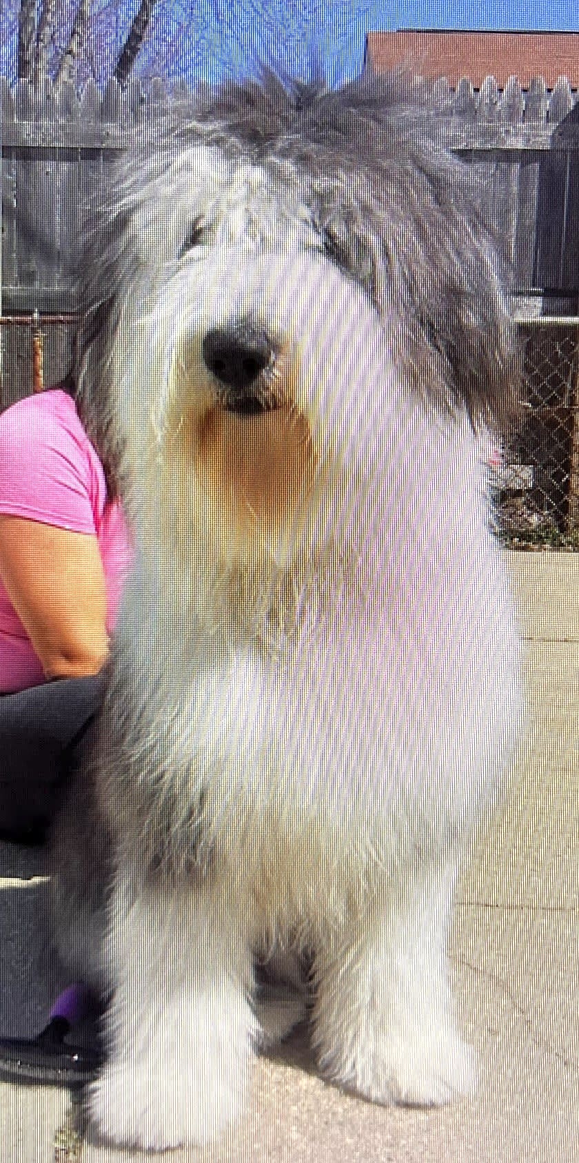 Photo of Rocco