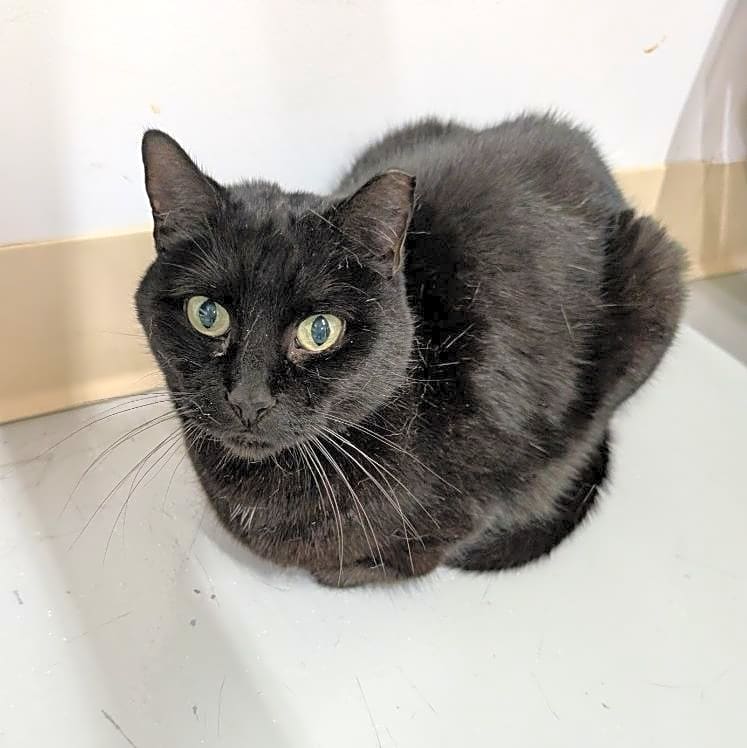 Photo of Leela