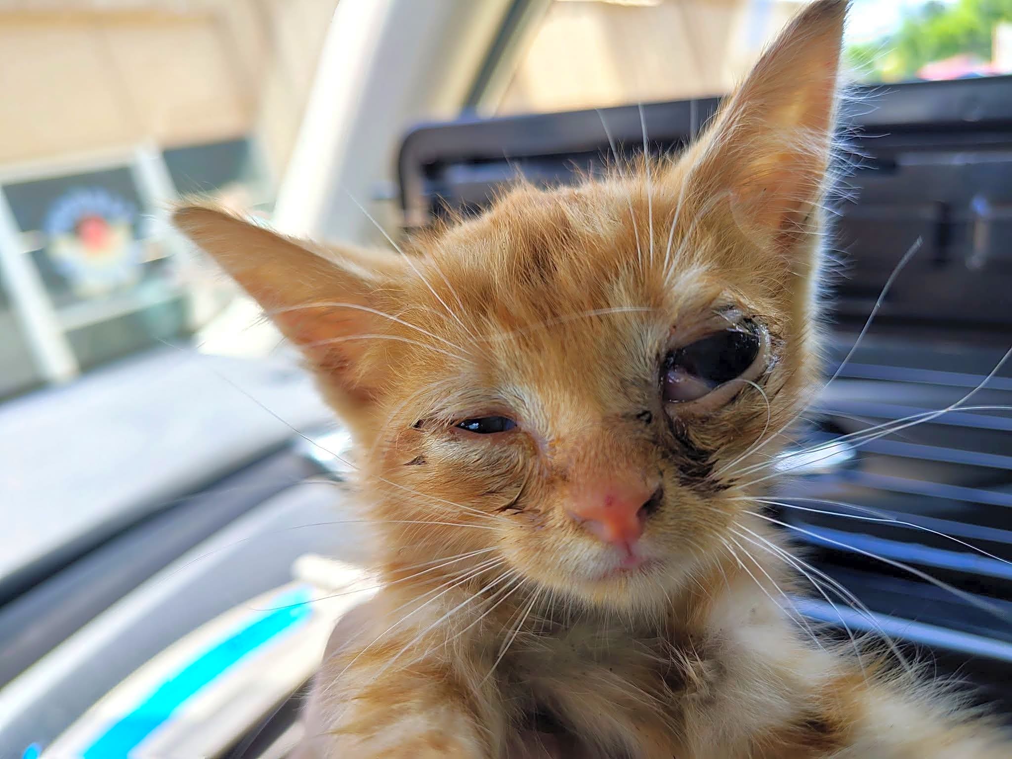 Photo of Solar