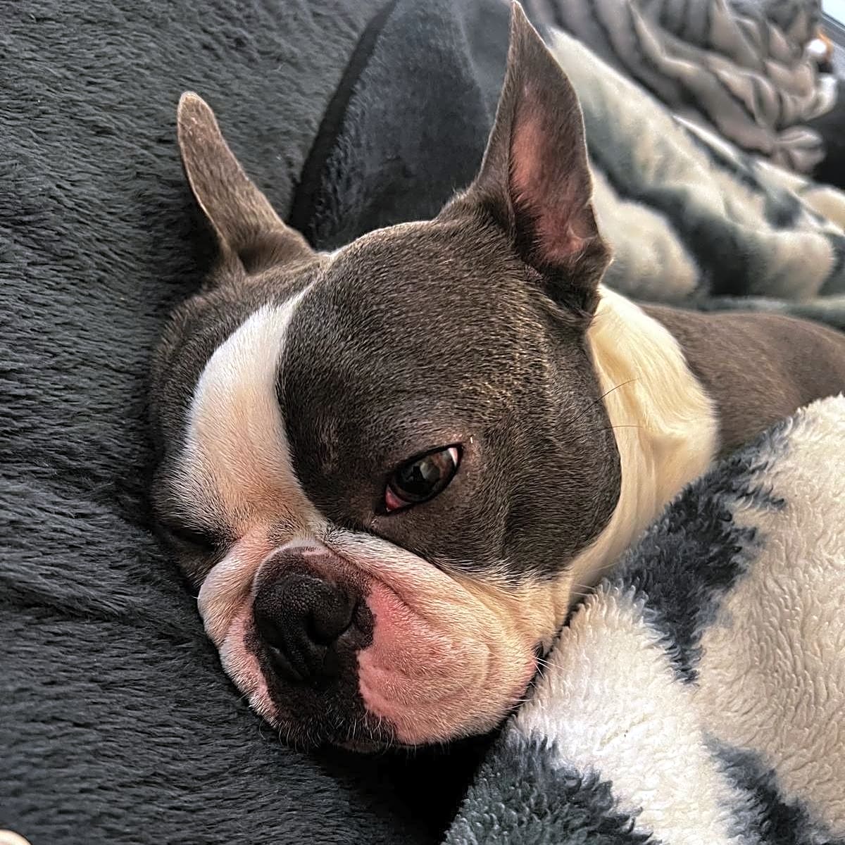 Photo of Zero