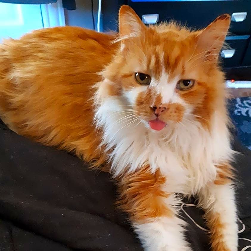Photo of Sam