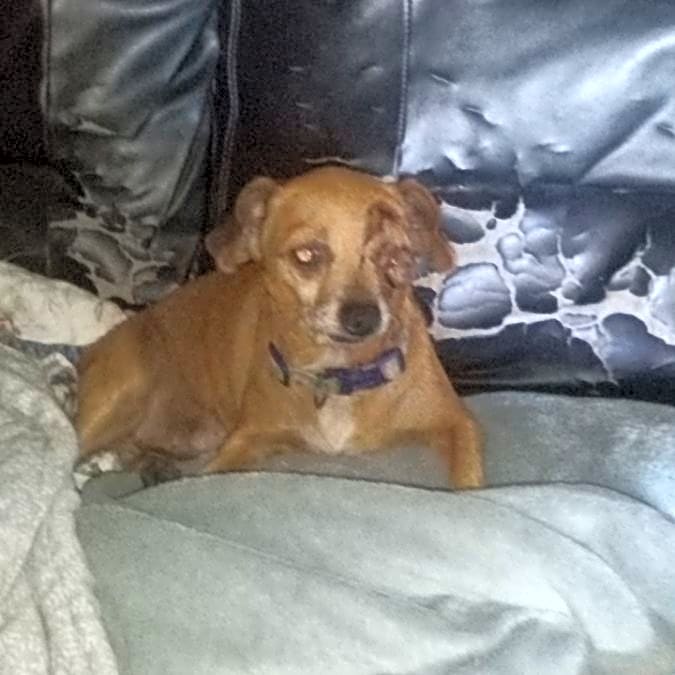 Photo of Cutie pie