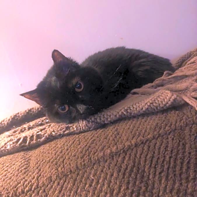 Photo of Spooky