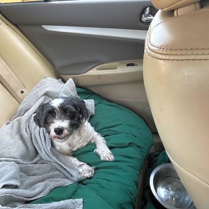 Photo of Tucker