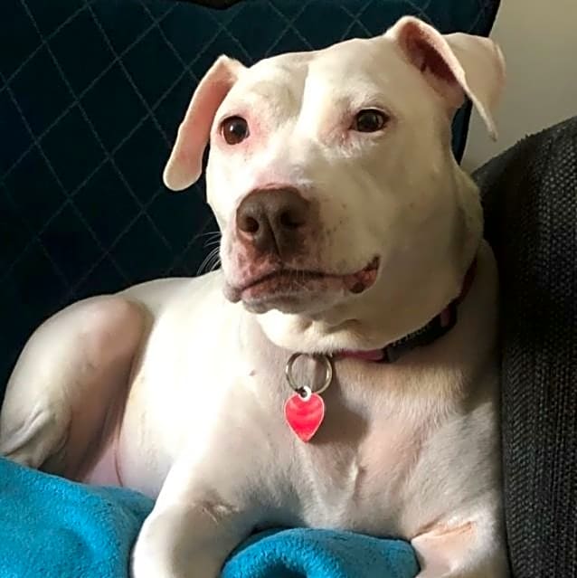 Photo of Heidi
