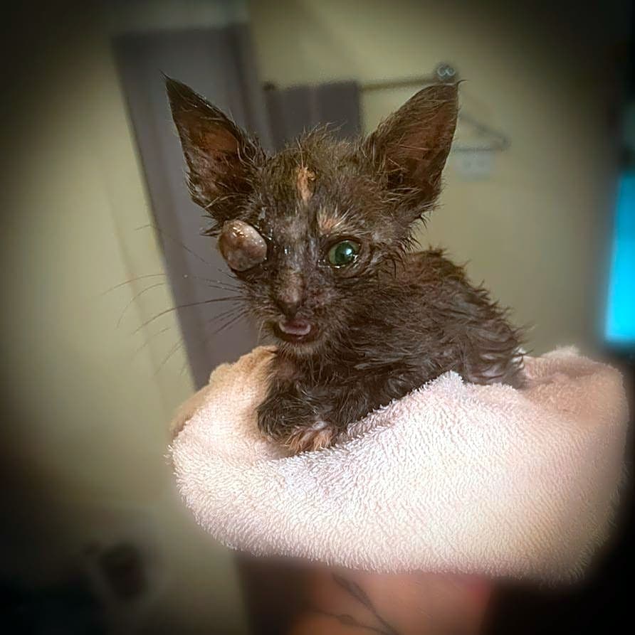 Photo of Leela