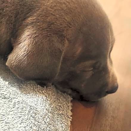 Photo of Handsome