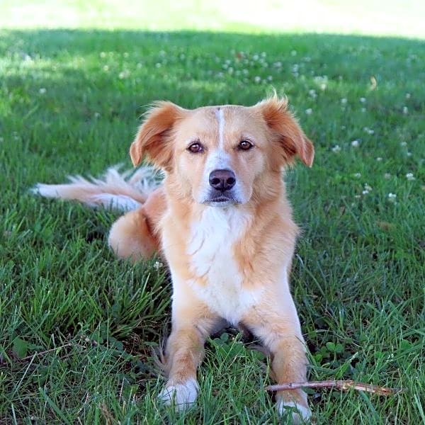 Photo of Finley