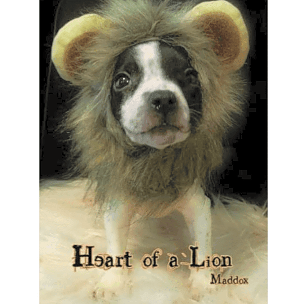 Photo of Maddox