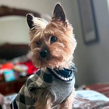 Photo of Kingston
