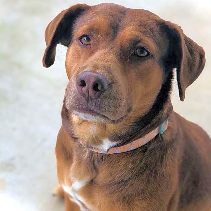 Photo of Lexi