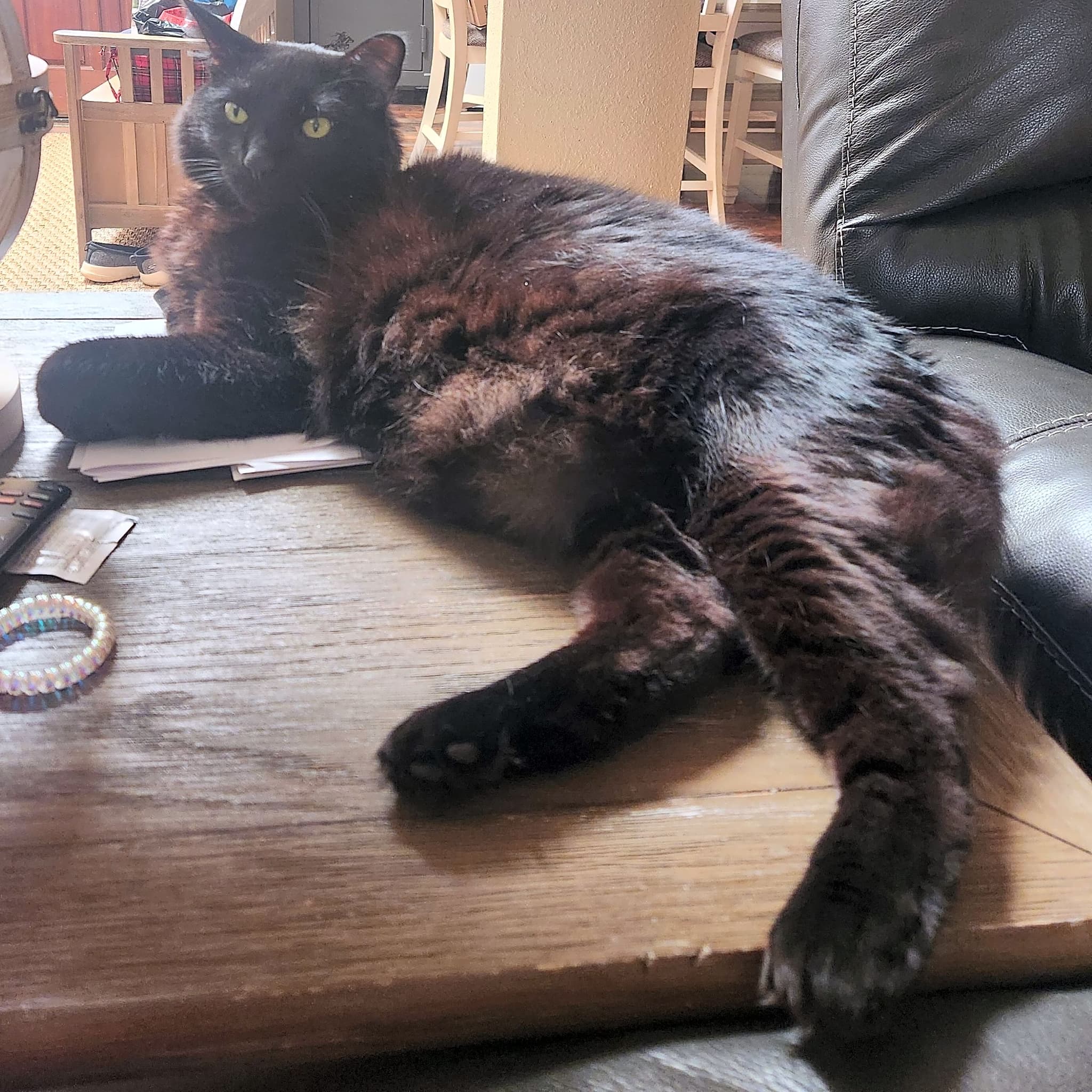Photo of Bear