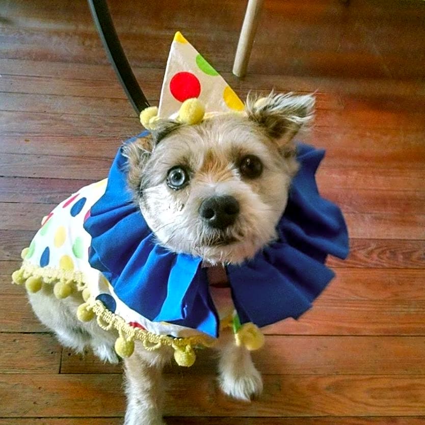 Photo of Sasha